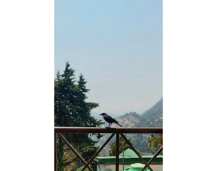 Whistling Thrush Cottage, Bhimtal Найнітал Екстер'єр фото